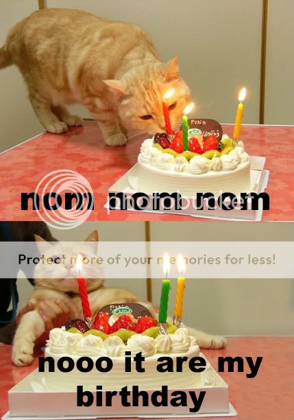 Birthdaylolcat.jpg