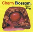 CherryBlossom.png