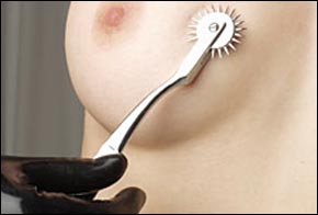 wartenberg.jpg
