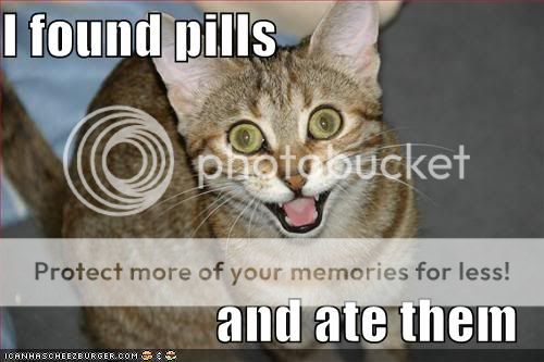 lolcat-funny-picture-found-pills-ate-eat.jpg